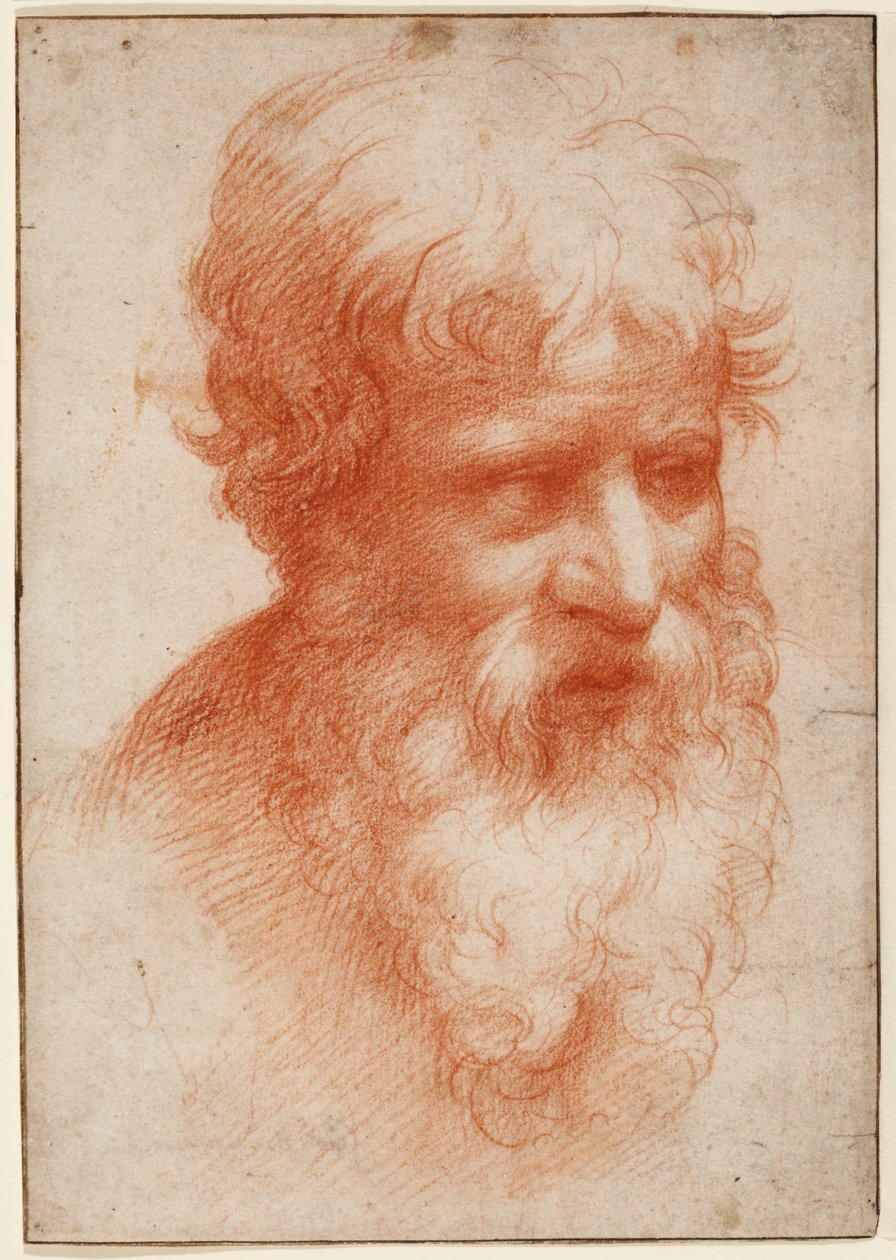 Cabeza de barbudo, mirando a la derecha, c.1523-25 (tiza roja sobre papel) de Parmigianino (1503 40)
