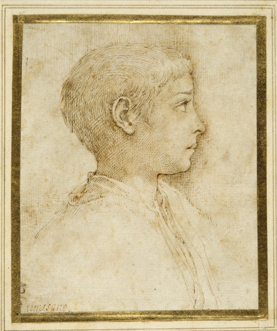 Busto de un niño de perfil a la derecha de Parmigianino