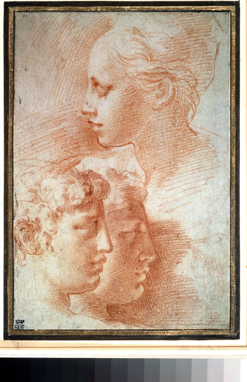 ""Estudio de las cabezas"" (Estudio de las cabezas). Perfil de cara de niña y niño. Dibujo de Girolamo Francesco Maria Mazzola o Mazzuoli llamado Parmigianino (El parmesano de Parmigianino