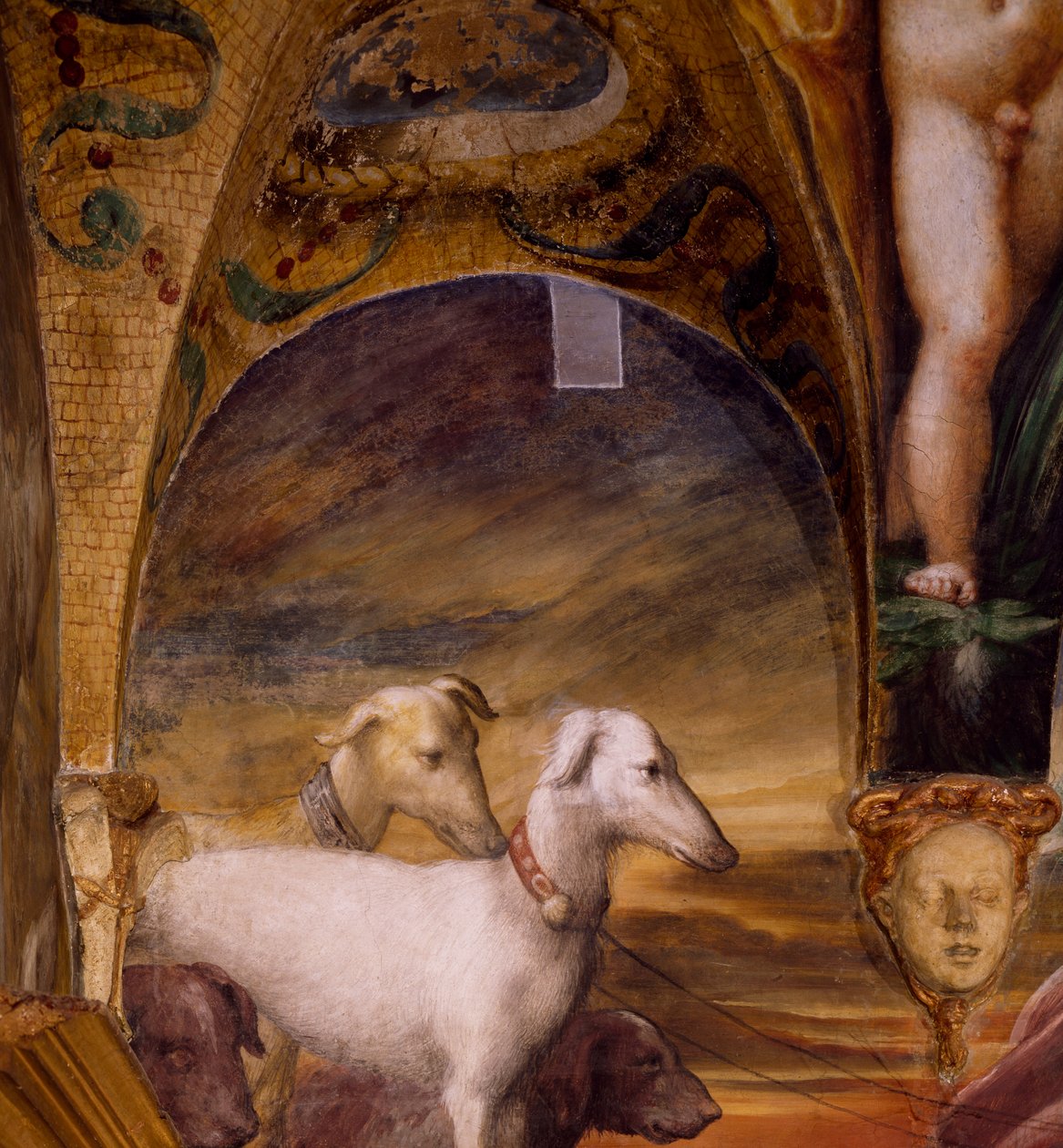 Grupo de perros, del Mito de Diana y Acteón de Parmigianino