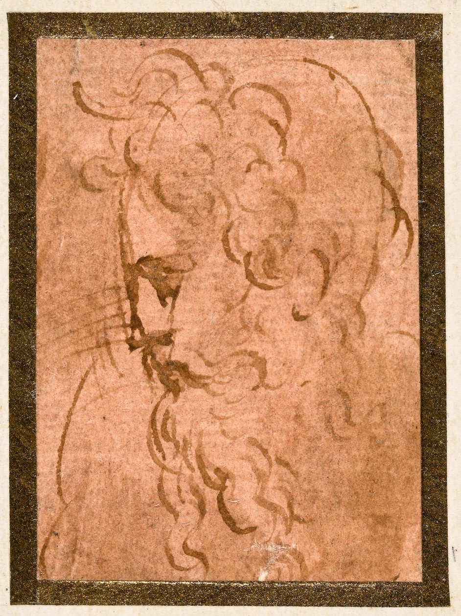 cabeza masculina de Parmigianino
