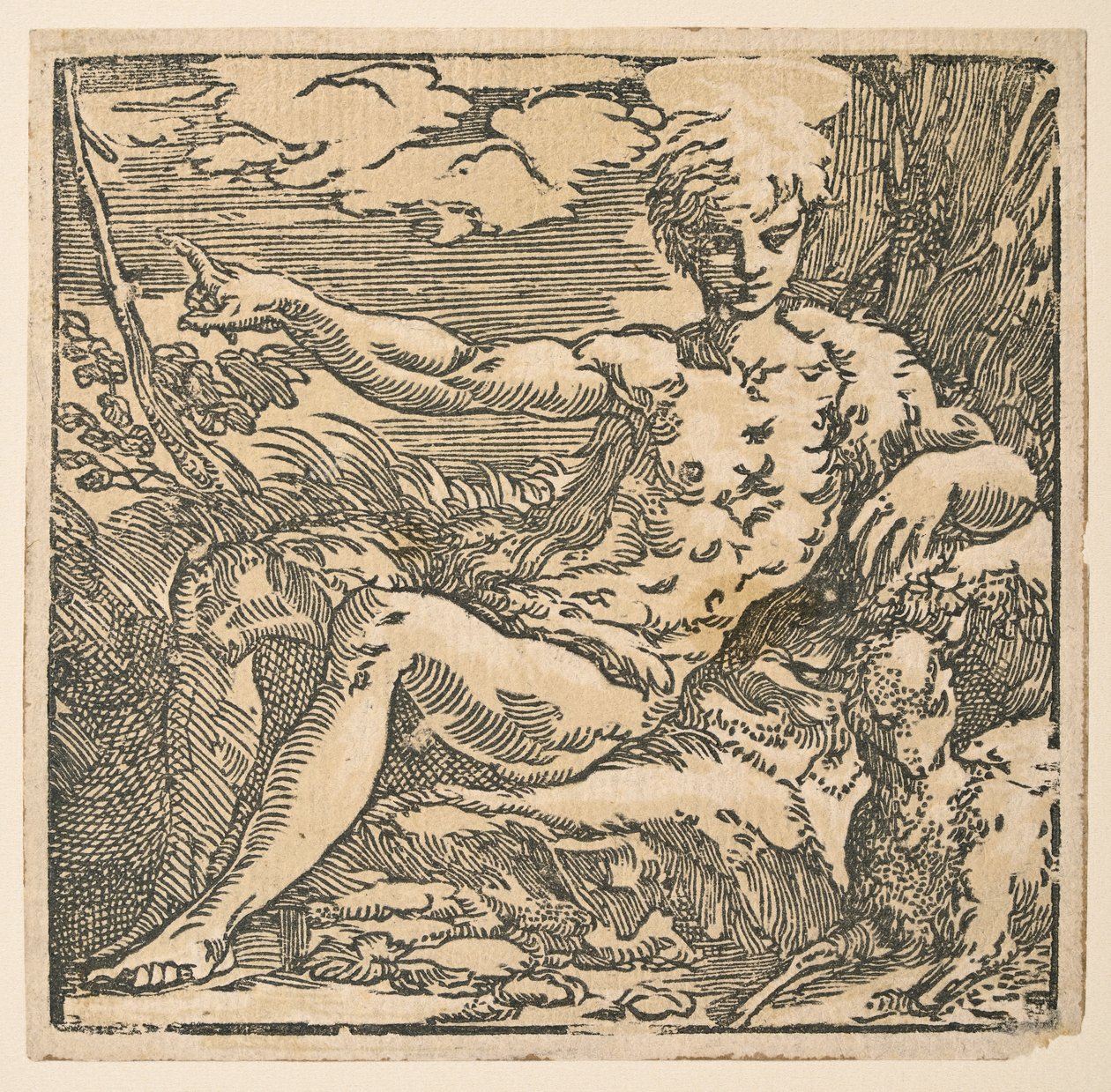 San Juan Bautista en el desierto de Parmigianino