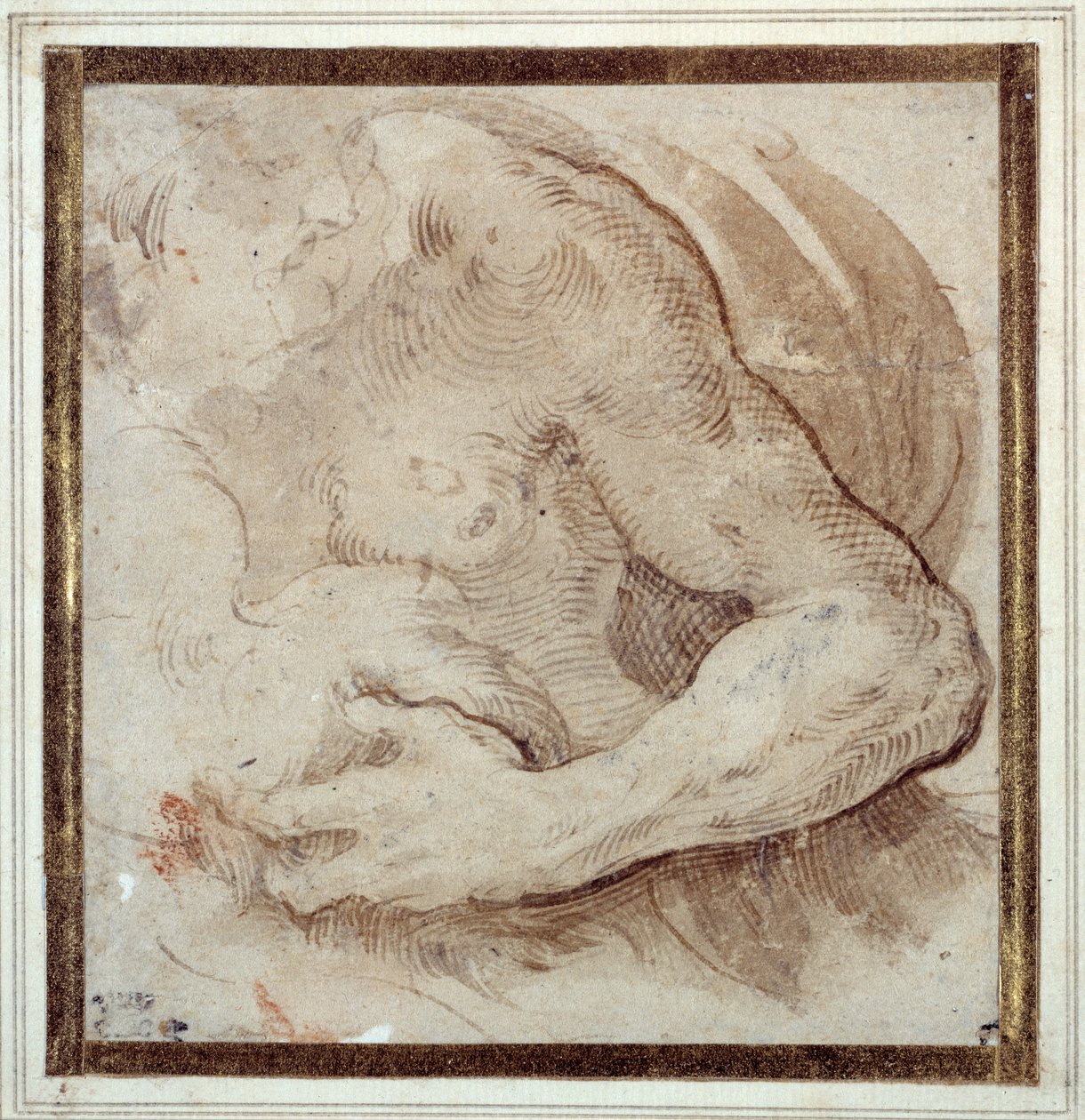Estudio del brazo izquierdo, pecho y cabeza de un hombre con barba de Parmigianino
