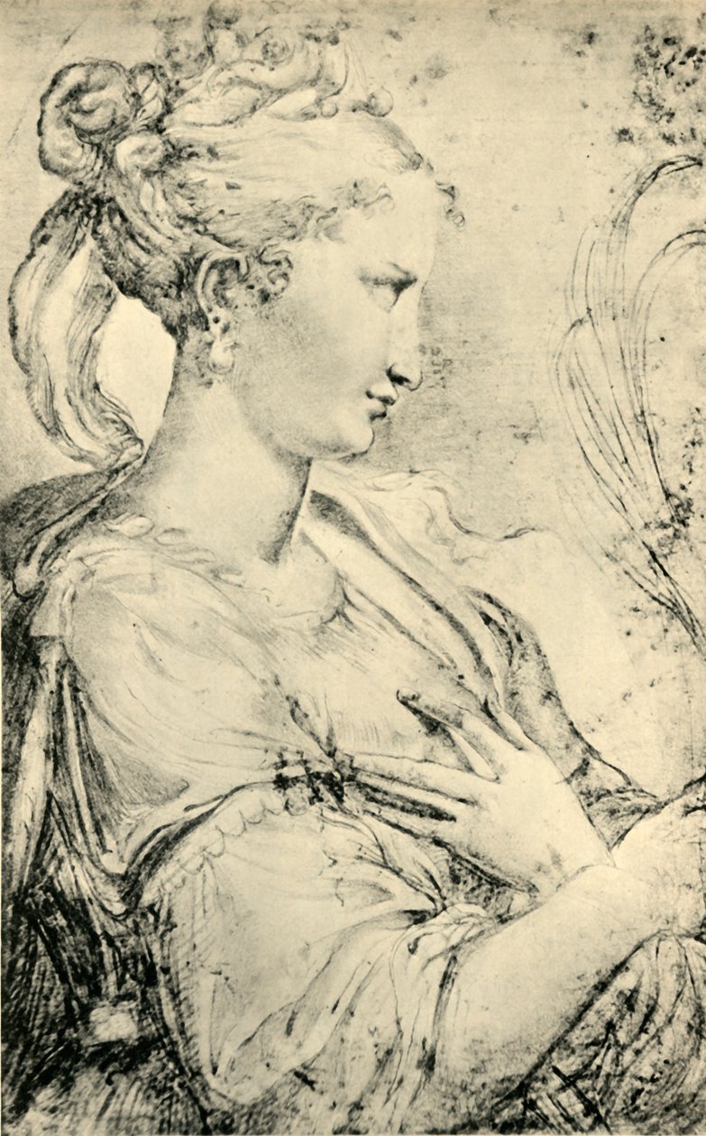 Estudio de Santa Catalina, c. 1530-1540, 1943 de Parmigianino