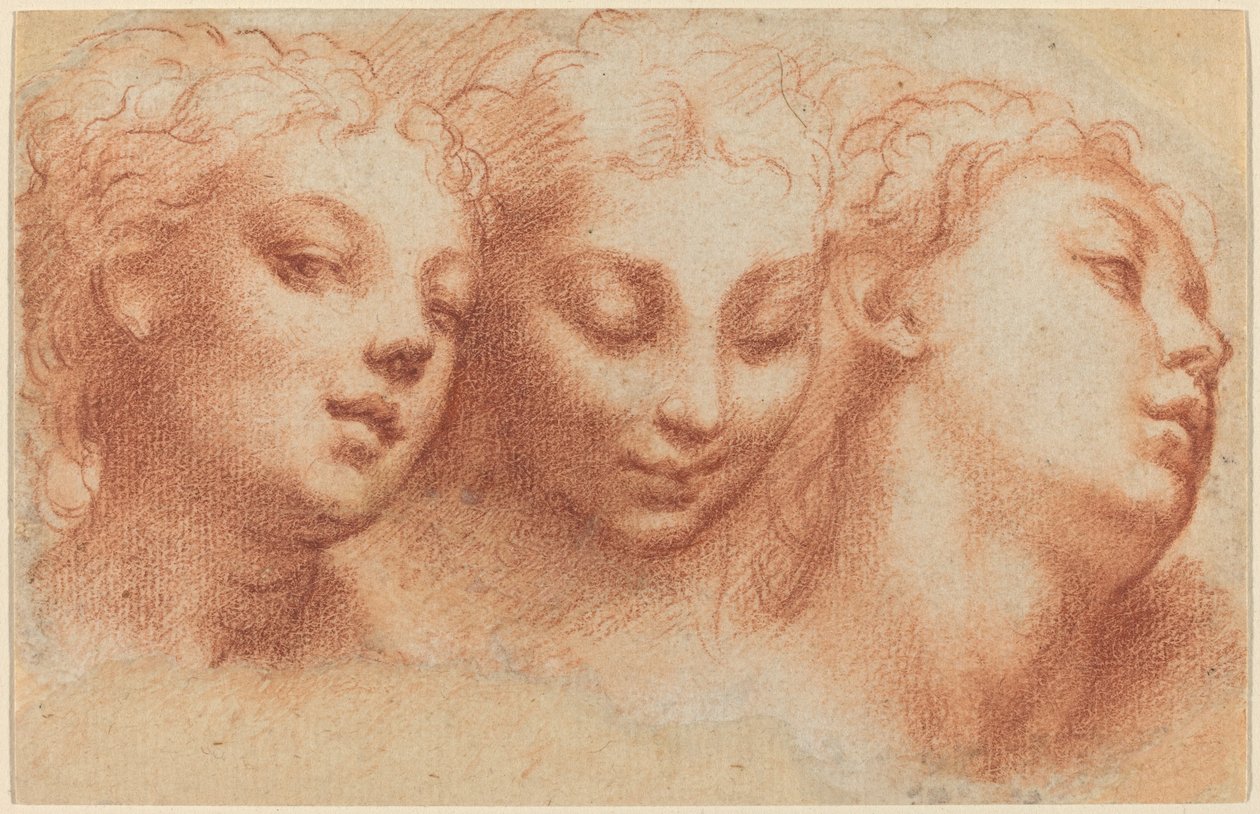 Tres Cabezas Femeninas de Parmigianino