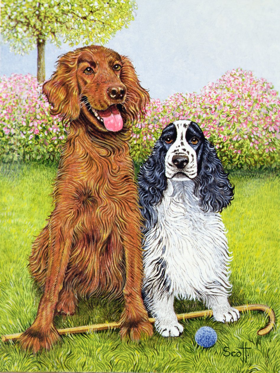 Un par de delimitadores de Pat Scott