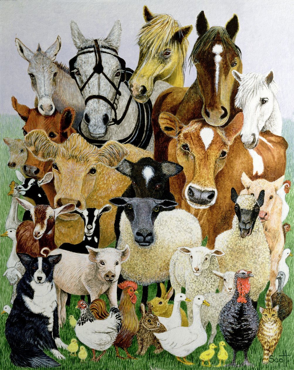 Animal Allsorts (acrílico sobre percal) de Pat Scott