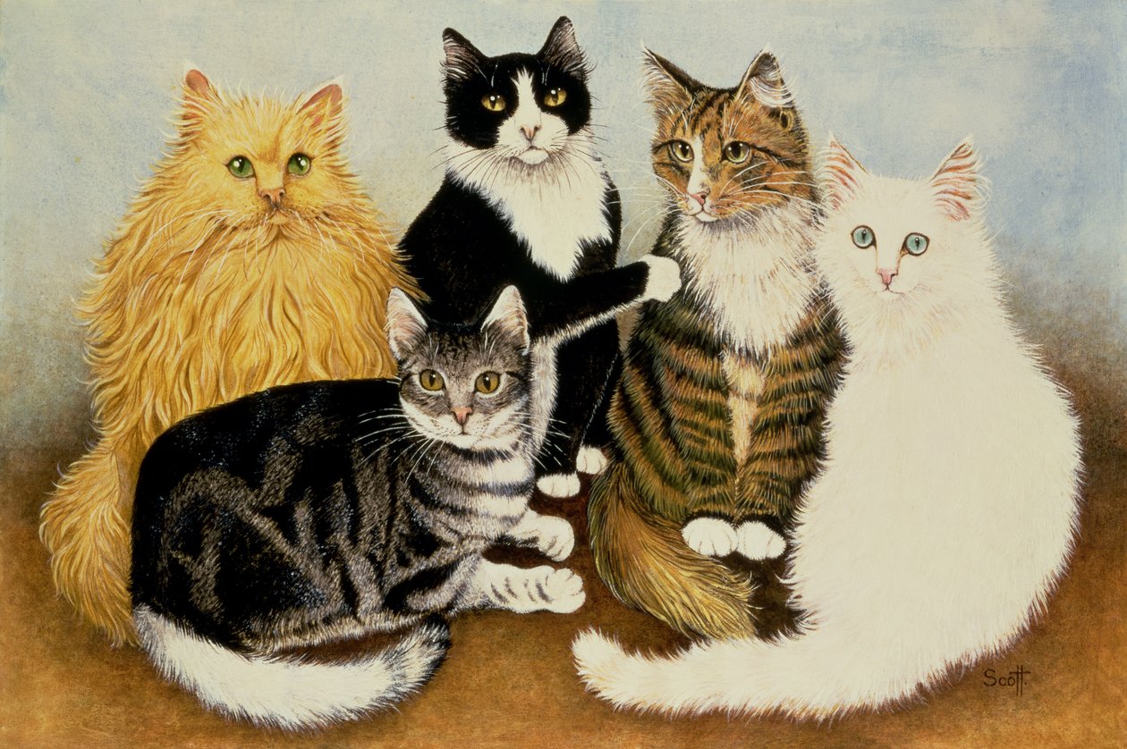 Cuna de gato de Pat Scott