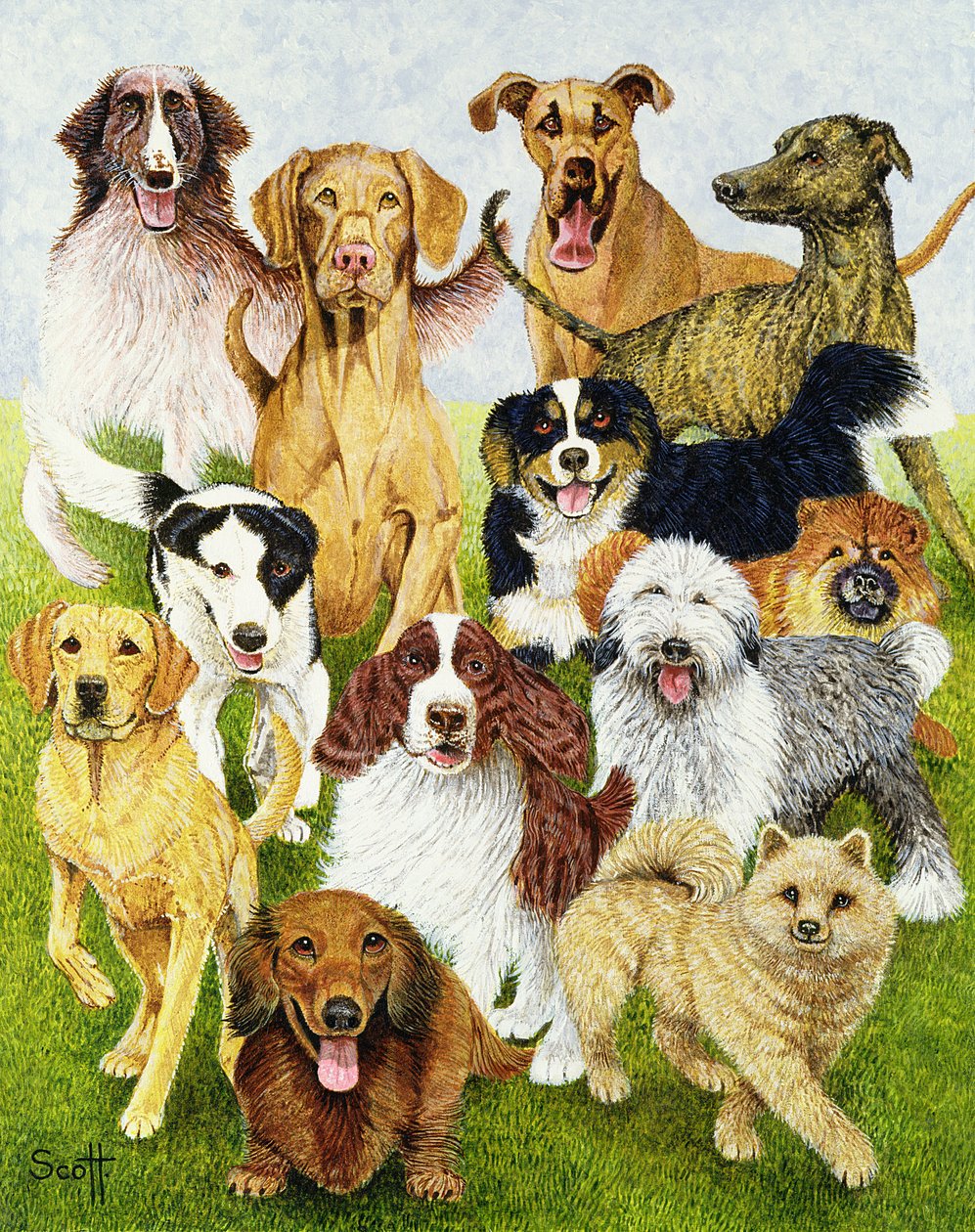 Dog Days (óleo sobre lienzo) de Pat Scott