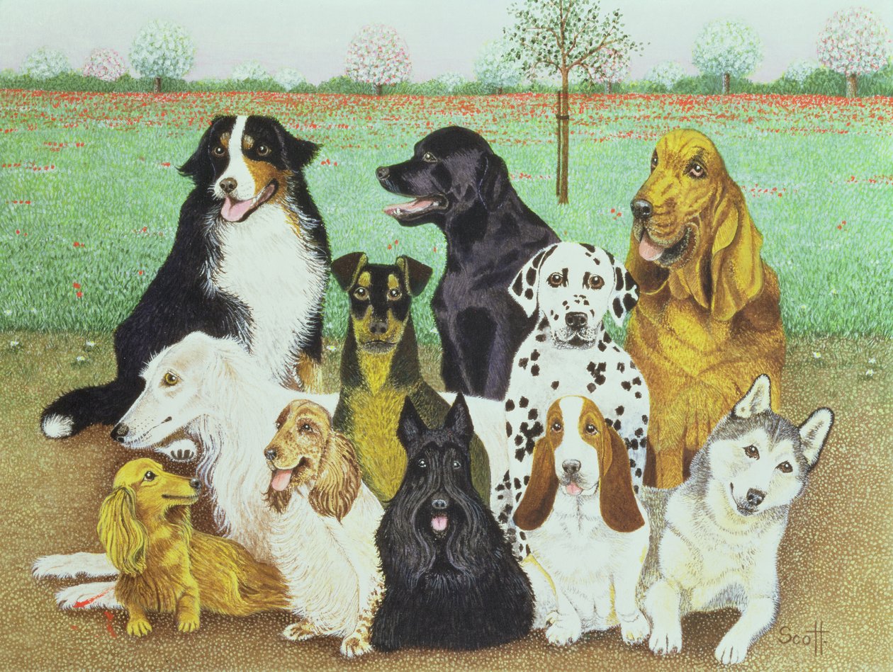 Vigilancia canina de Pat Scott