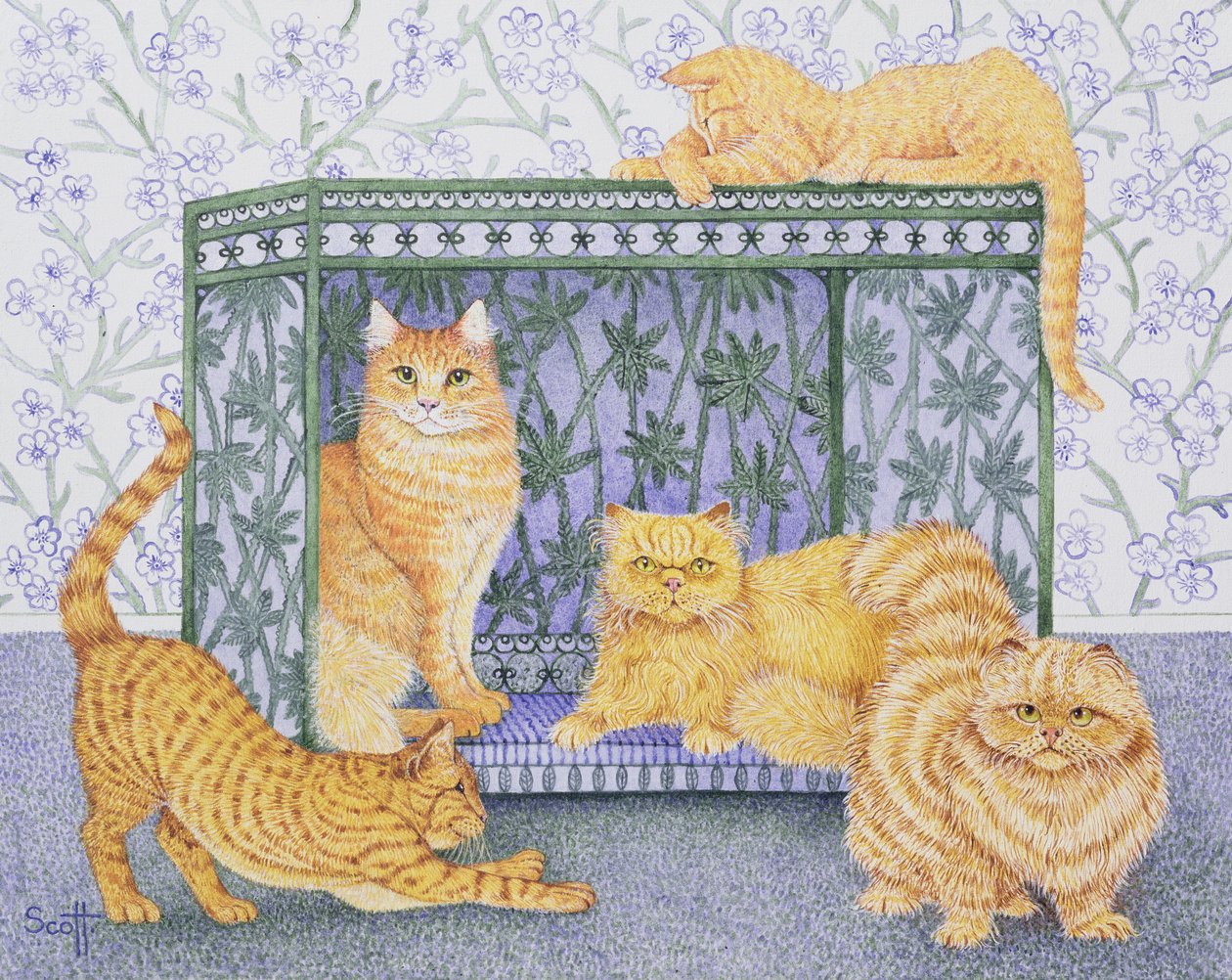 Señores Ginger de Pat Scott
