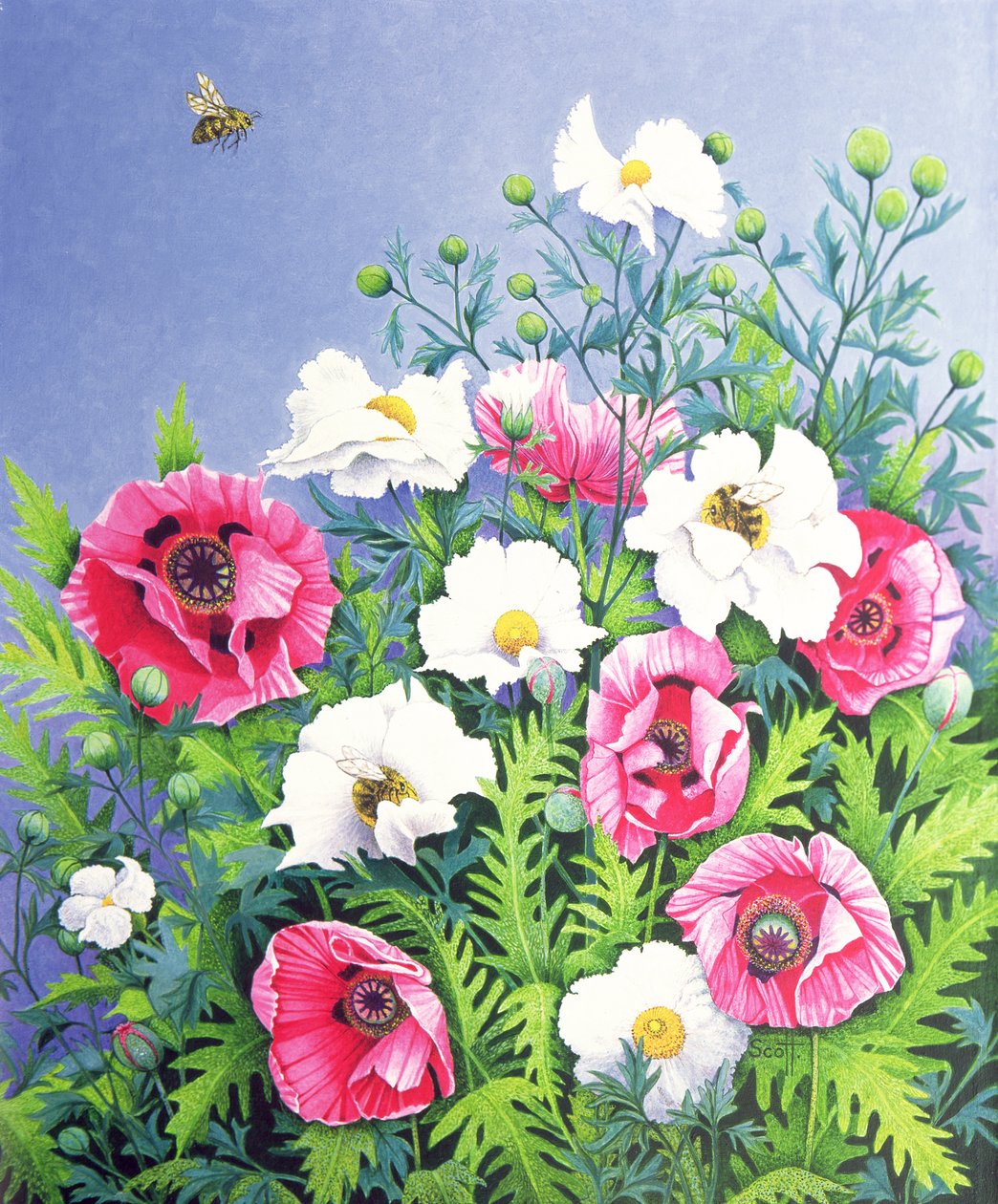 Honey Bee, Abeja de la miel (óleo sobre lienzo) de Pat Scott
