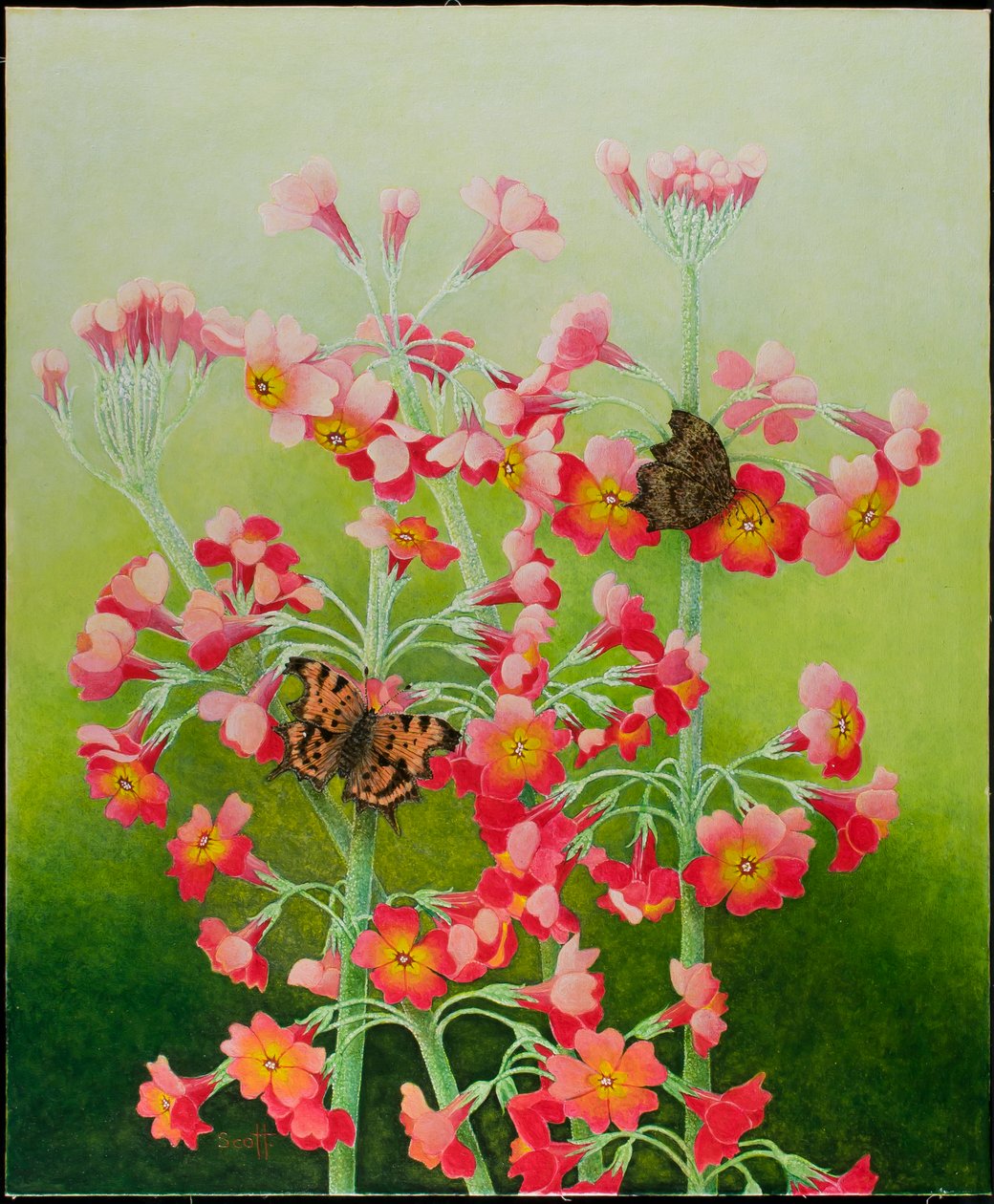 In the Pink, 2011 (acrílico sobre percal) de Pat Scott