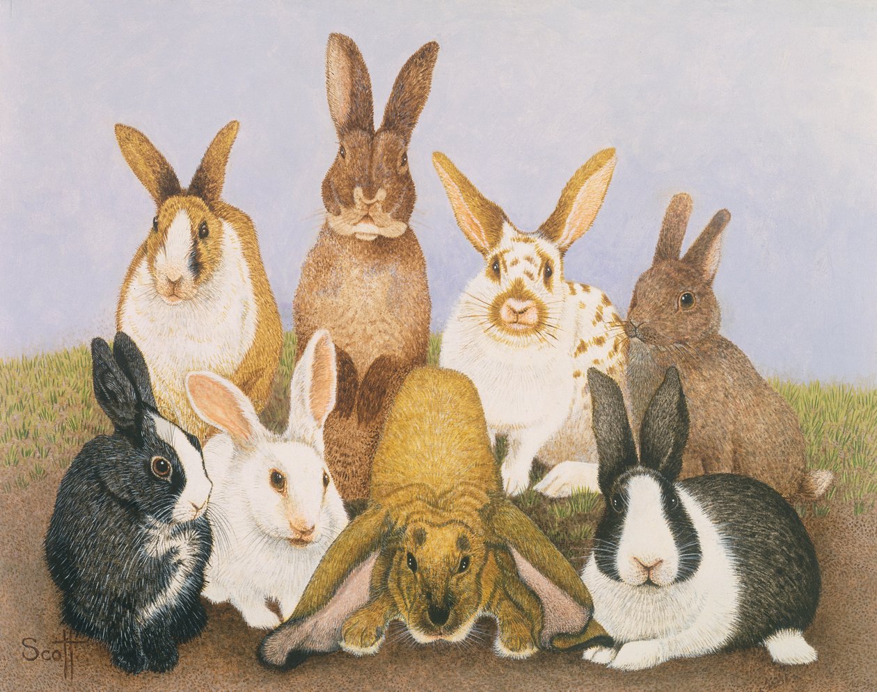 Conejos de la suerte de Pat Scott