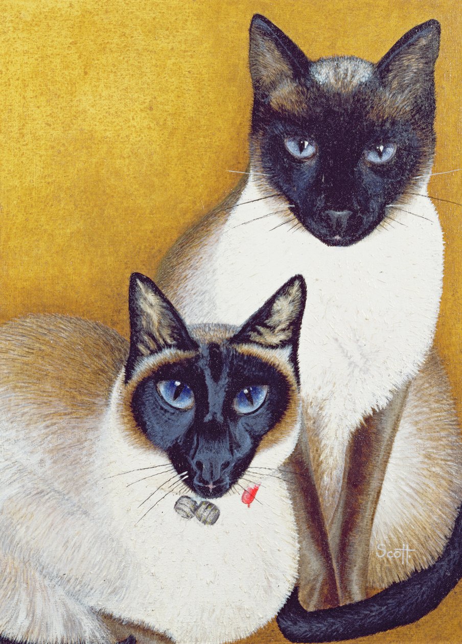 Mavis y Barnaby de Pat Scott
