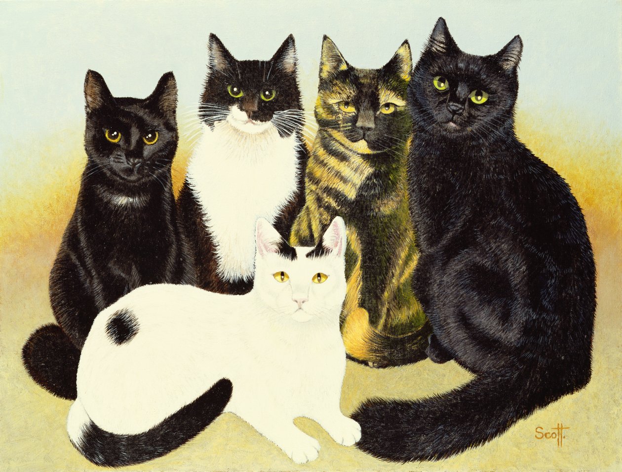 Los gatos de la Srta. Cox de Pat Scott