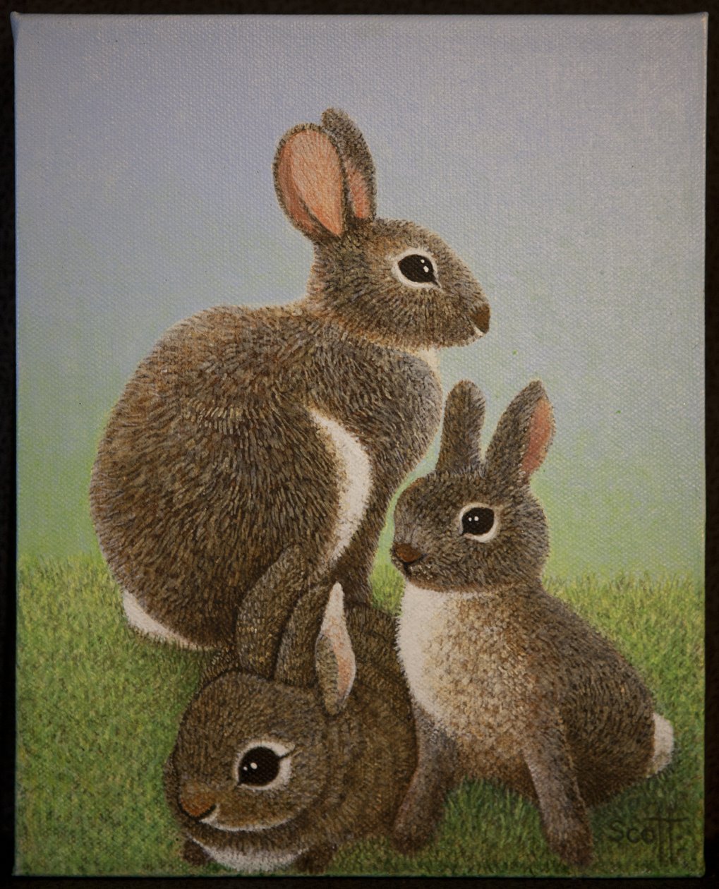 Familia Rabbit, 2016 de Pat Scott