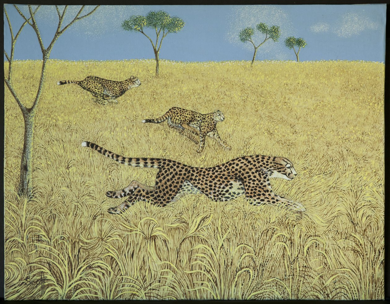 Pura velocidad de Pat Scott