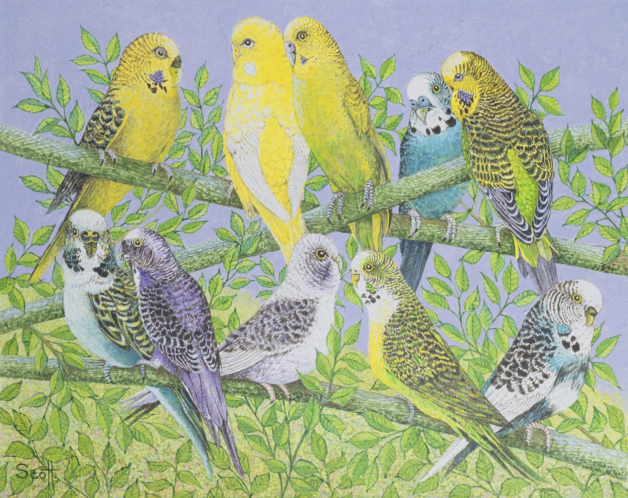 Sweet Talking (acrílico sobre lienzo) de Pat Scott