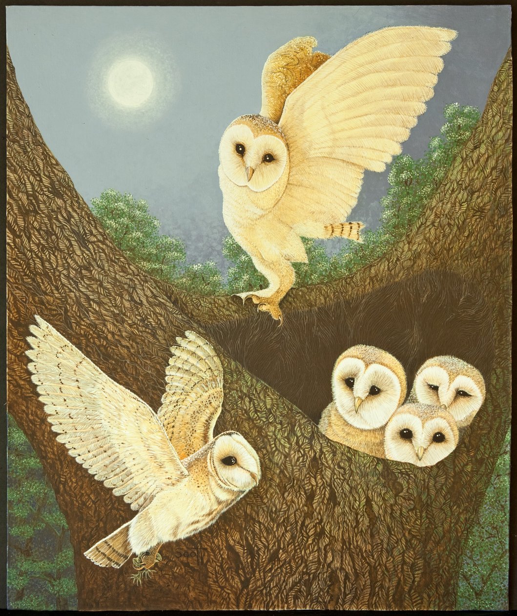 Observando y esperando, 2013 (acrílico sobre papel) de Pat Scott