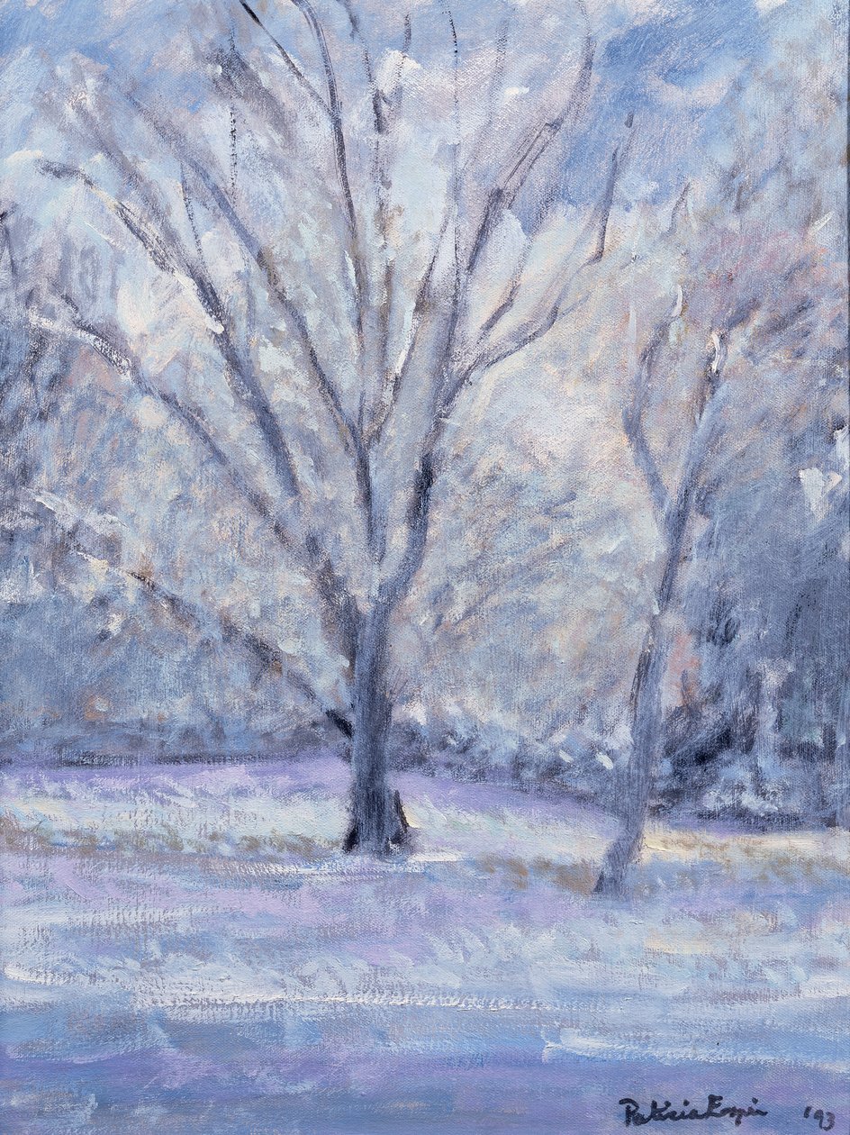 Escena de nieve de Patricia Espir