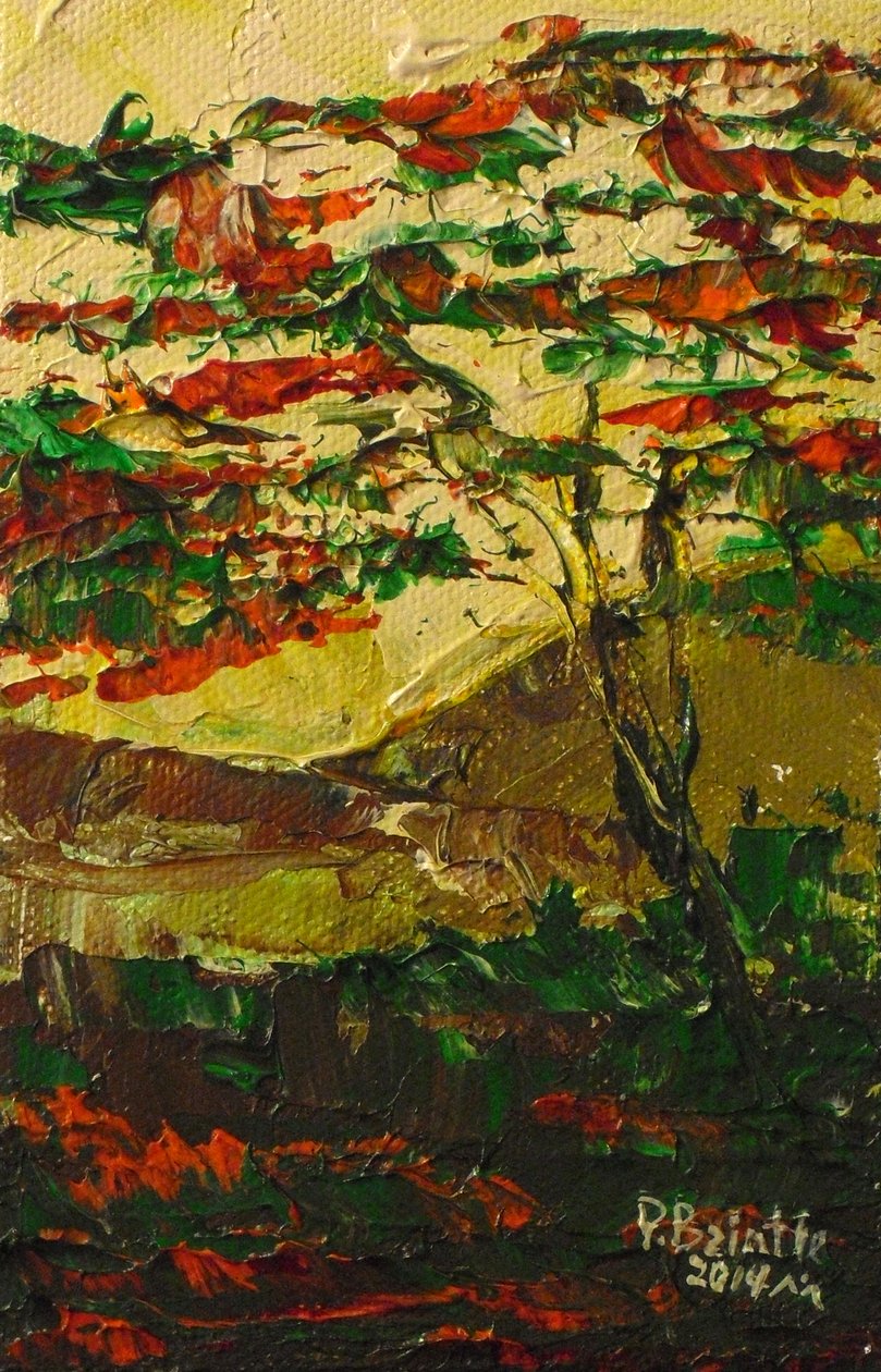Flamboyán en flor, 2014 de Patricia Brintle