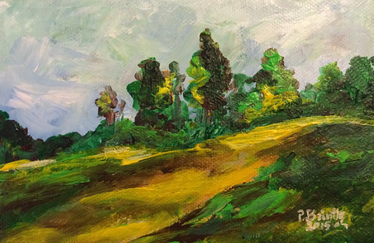 Mañana en Furcy, 2015 de Patricia Brintle