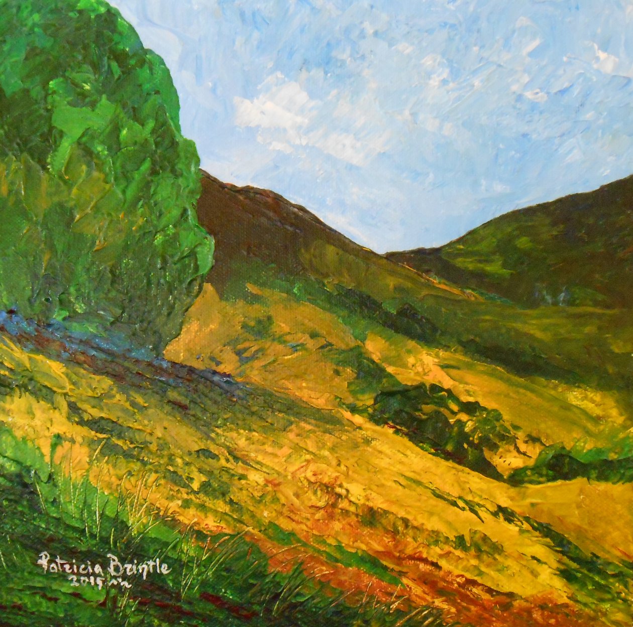Morne La Selle, 2015 de Patricia Brintle