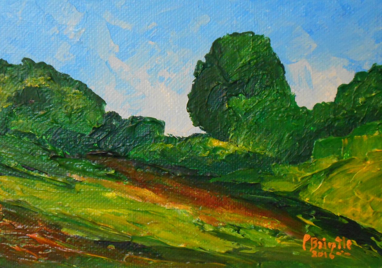 Entorno de Plaisance, 2016 de Patricia Brintle