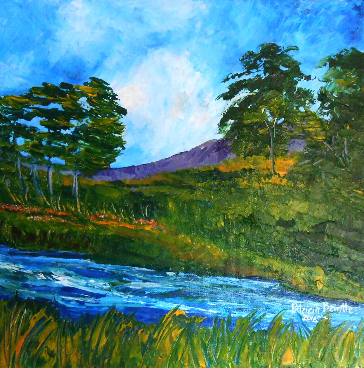 Riachuelo cerca de Marmelade, 2016 de Patricia Brintle
