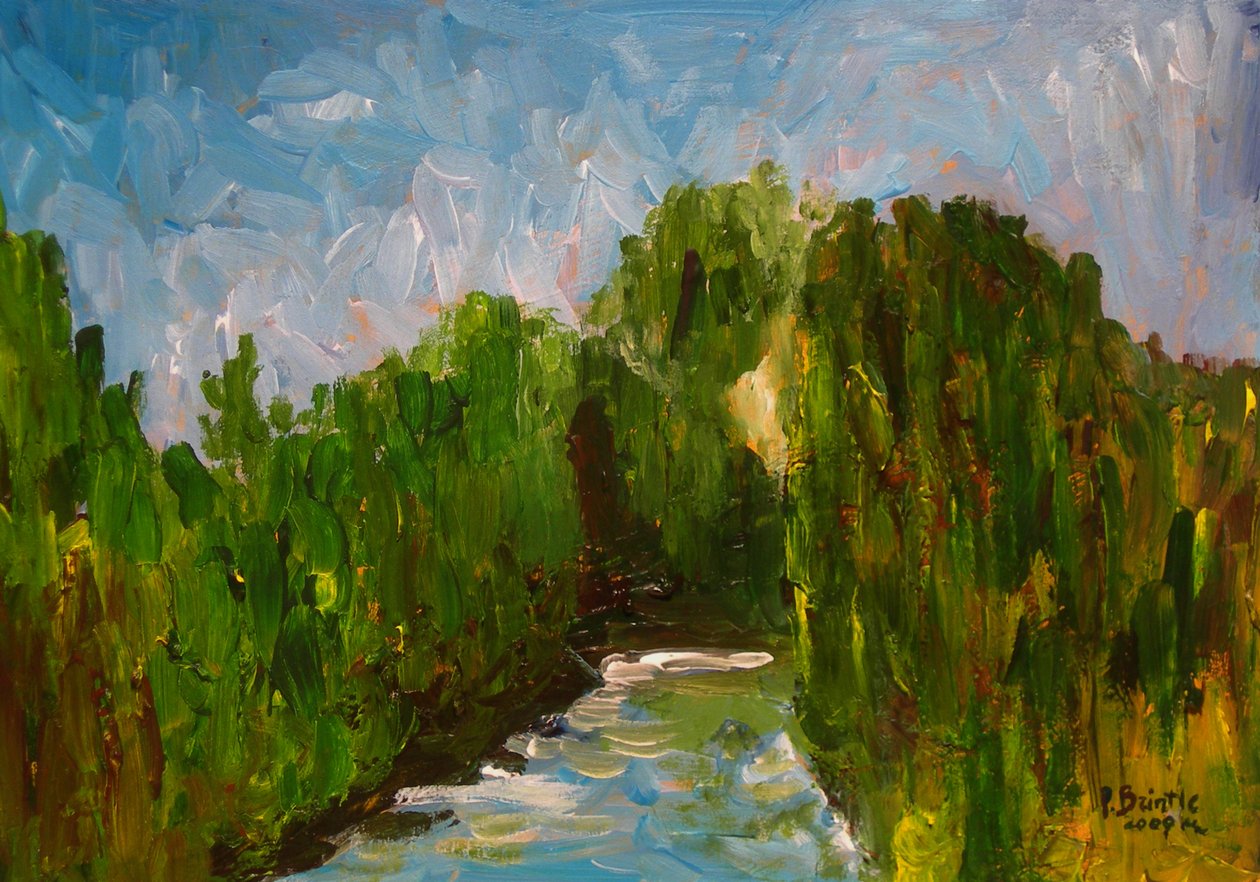 Río serpenteante, 2009 de Patricia Brintle