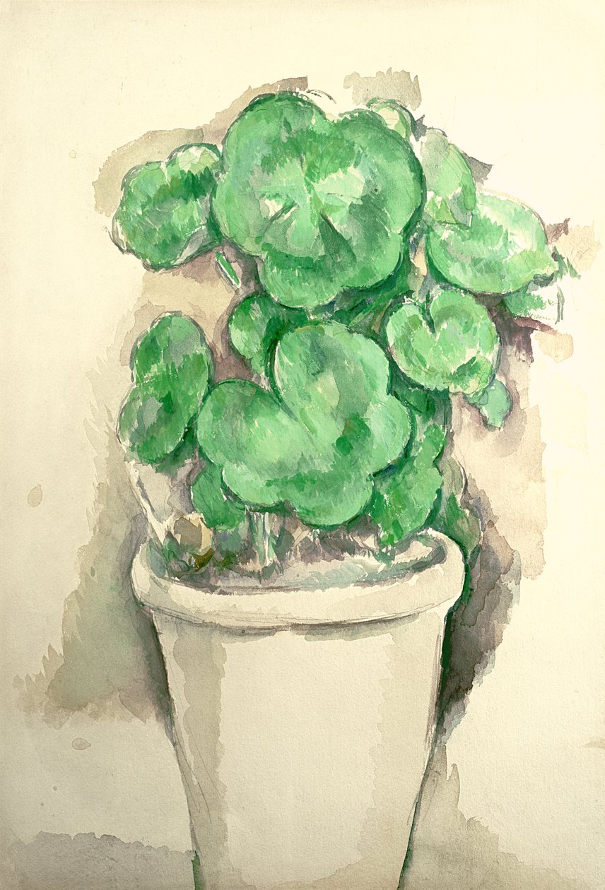 Maceta de geranios, c.1885 de Paul Cézanne