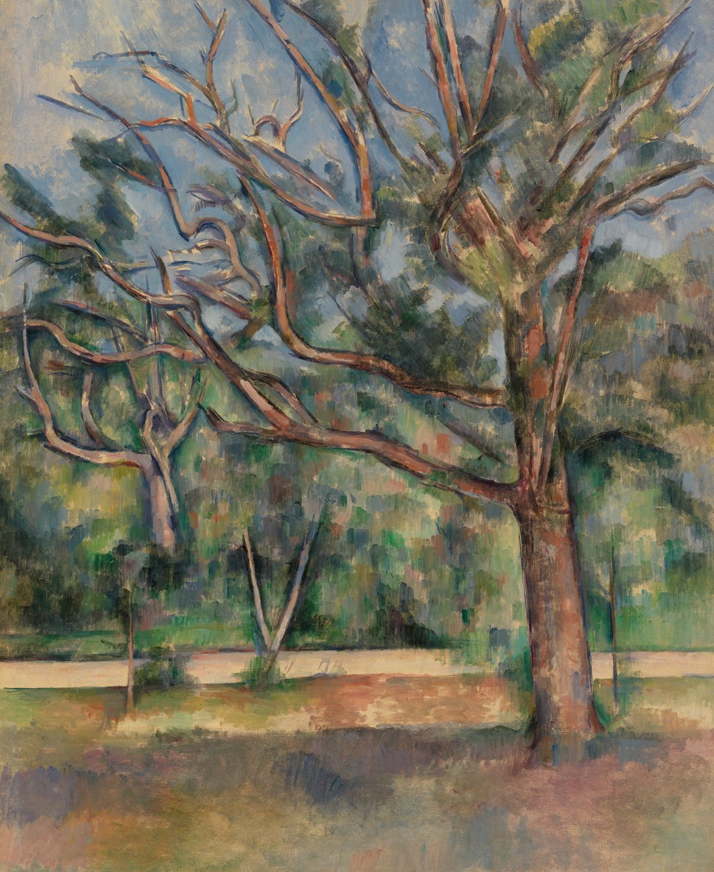Árboles y Camino, c.1890 de Paul Cézanne