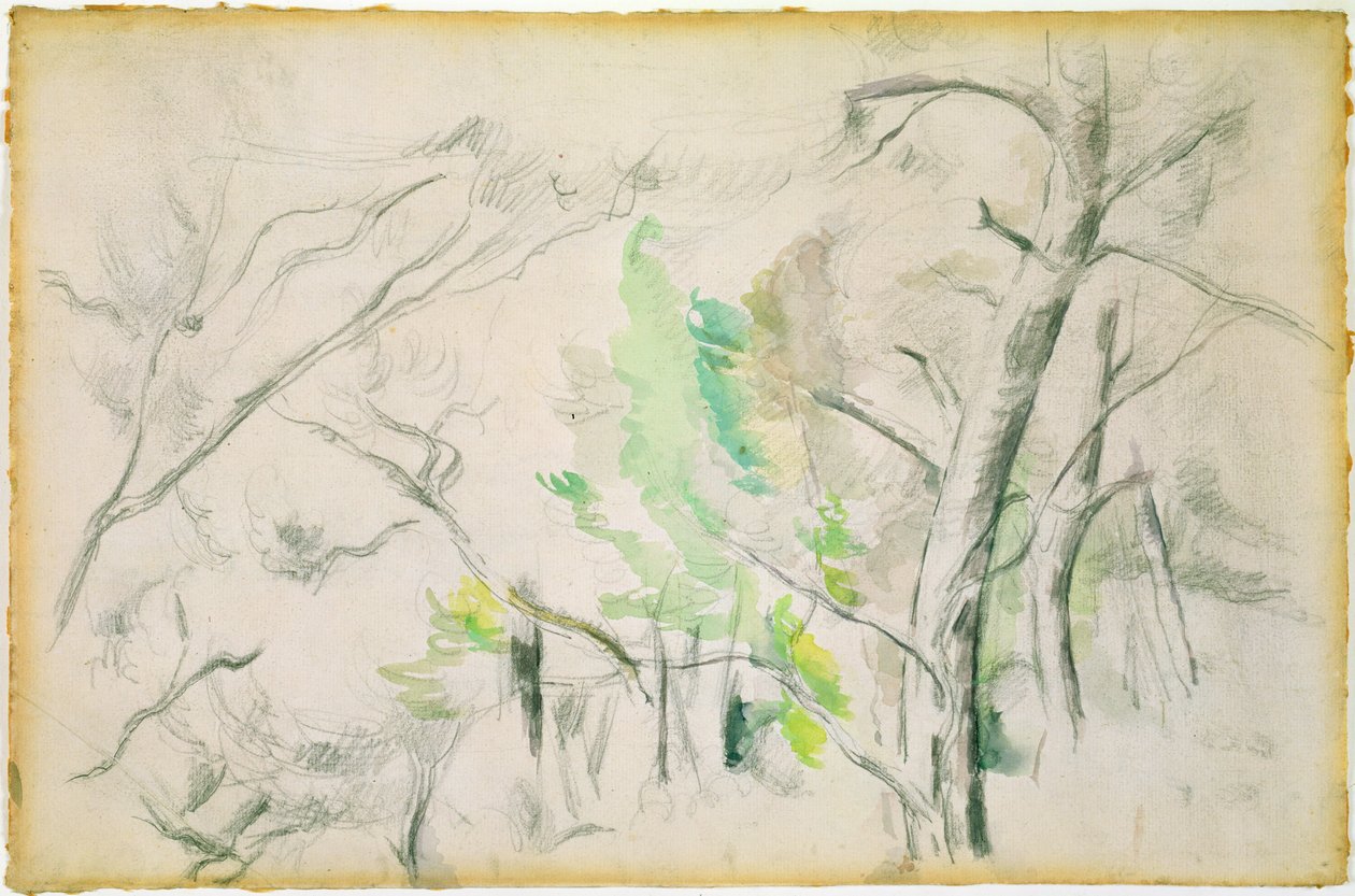 Woodside de Paul Cézanne