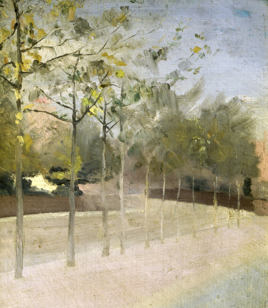 Chelsea Embankment, Plátanos, 1908 de Paul Fordyce Maitland