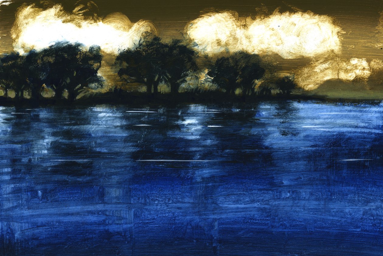 Inundación, 2009 de Paul Powis