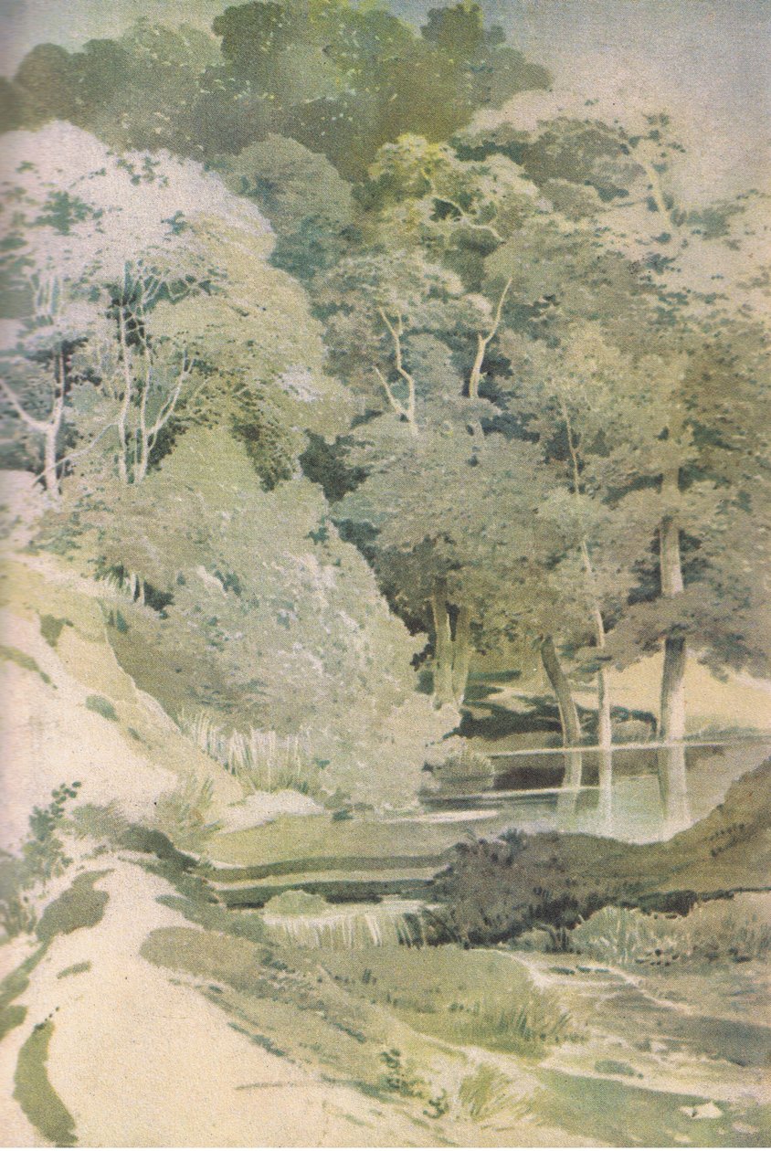 Haya antigua en el Bosque de Windsor, Nature in Britain publicado por Collins, 1946 de Paul Sandby