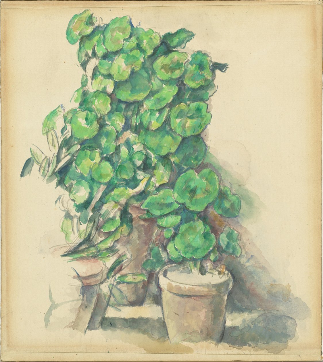 Geranios de Paul Cézanne