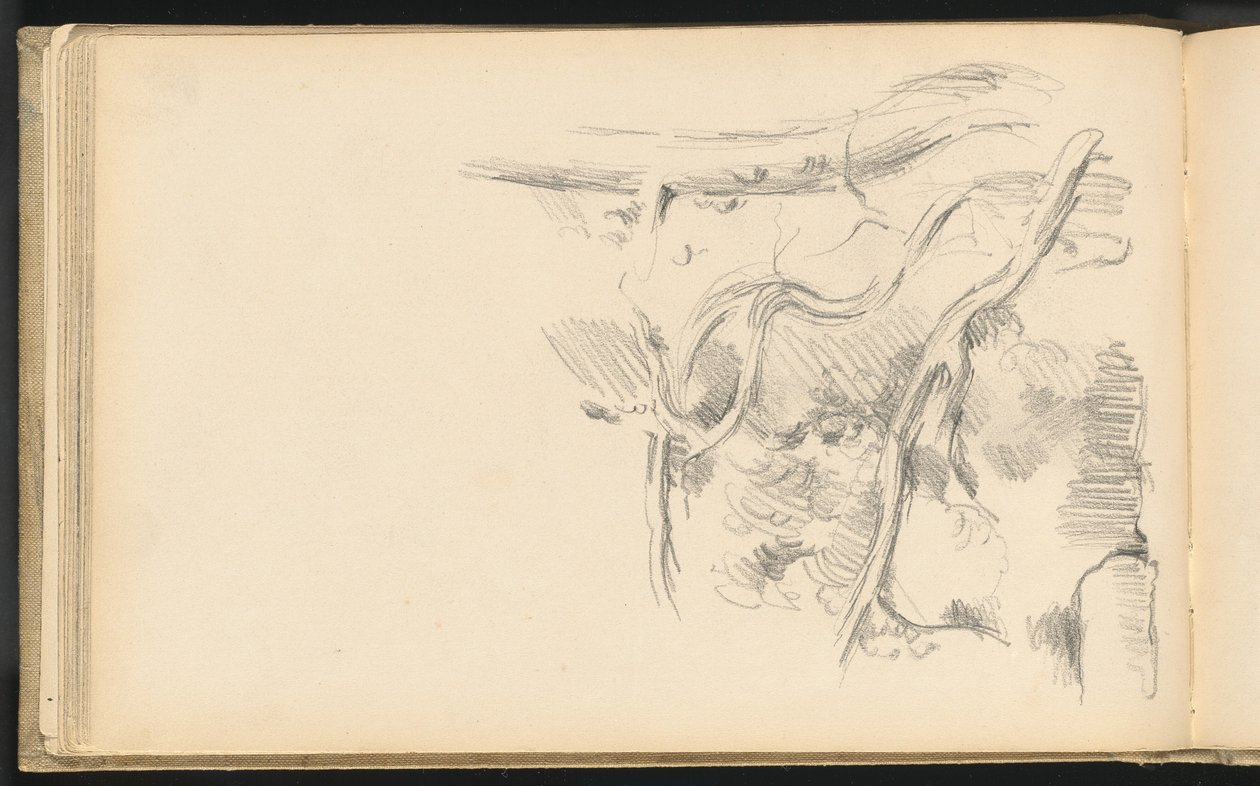 Pino de Paul Cézanne