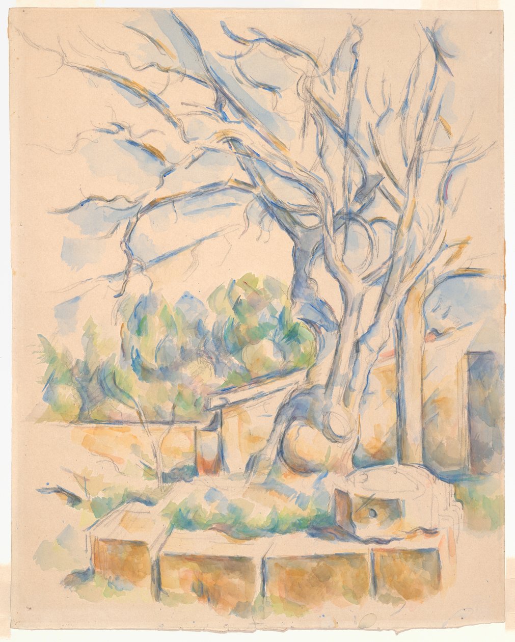 Pistachero en Château Noir de Paul Cézanne