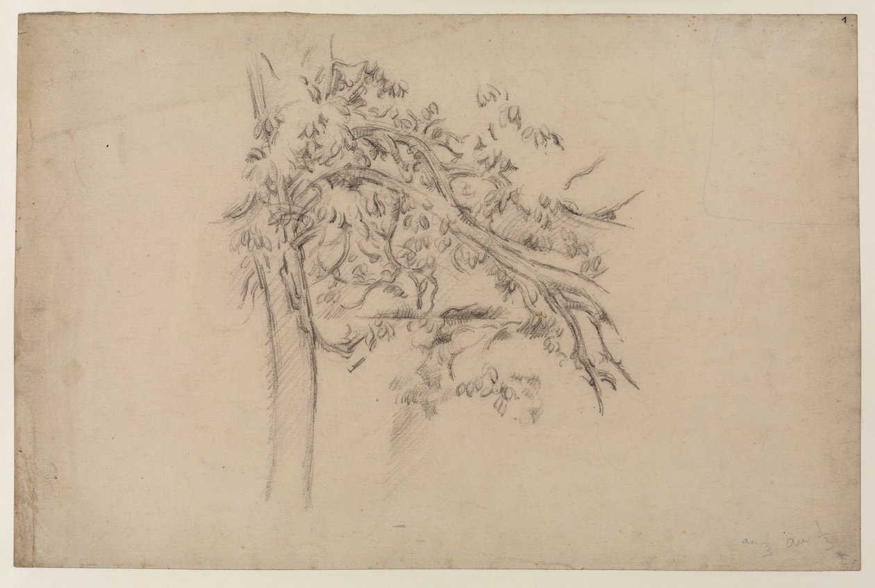 Estudio de un árbol, c.1885-87 de Paul Cézanne