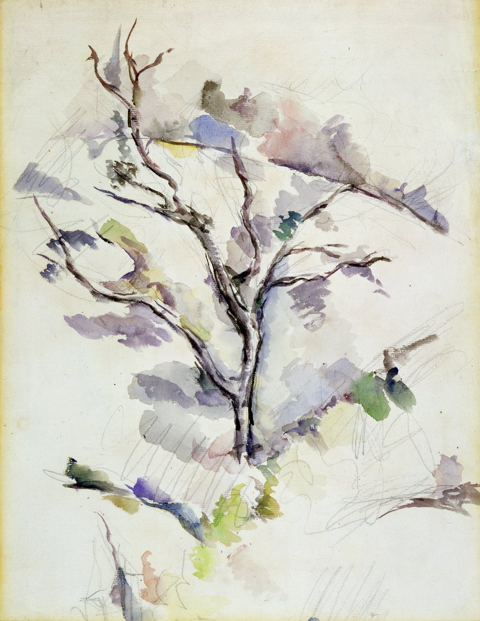 El roble de Paul Cézanne