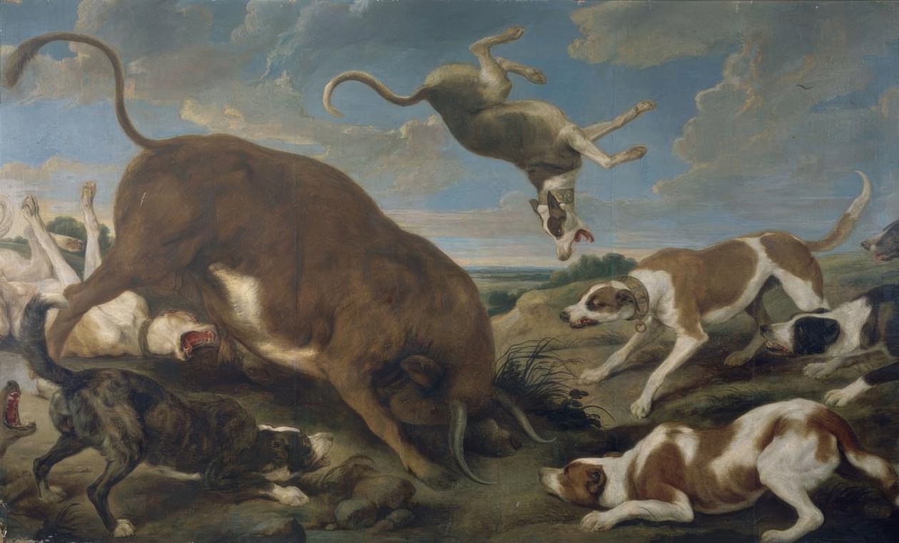 Toro atacado por perros – Siglo XVII – Barroco flamenco de Paul De Vos