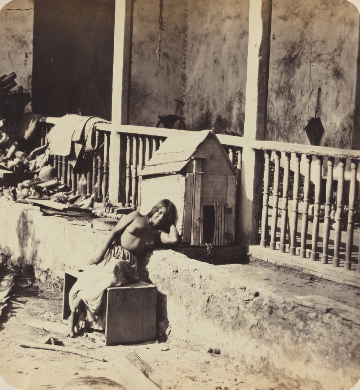 Chien de Garvel Martinica, 1870s de Paul Emile Miot