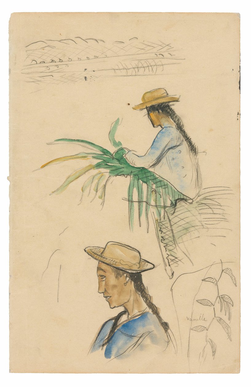 Bocetos de figuras, hoja de pandanus y planta de vainilla de Paul Gauguin