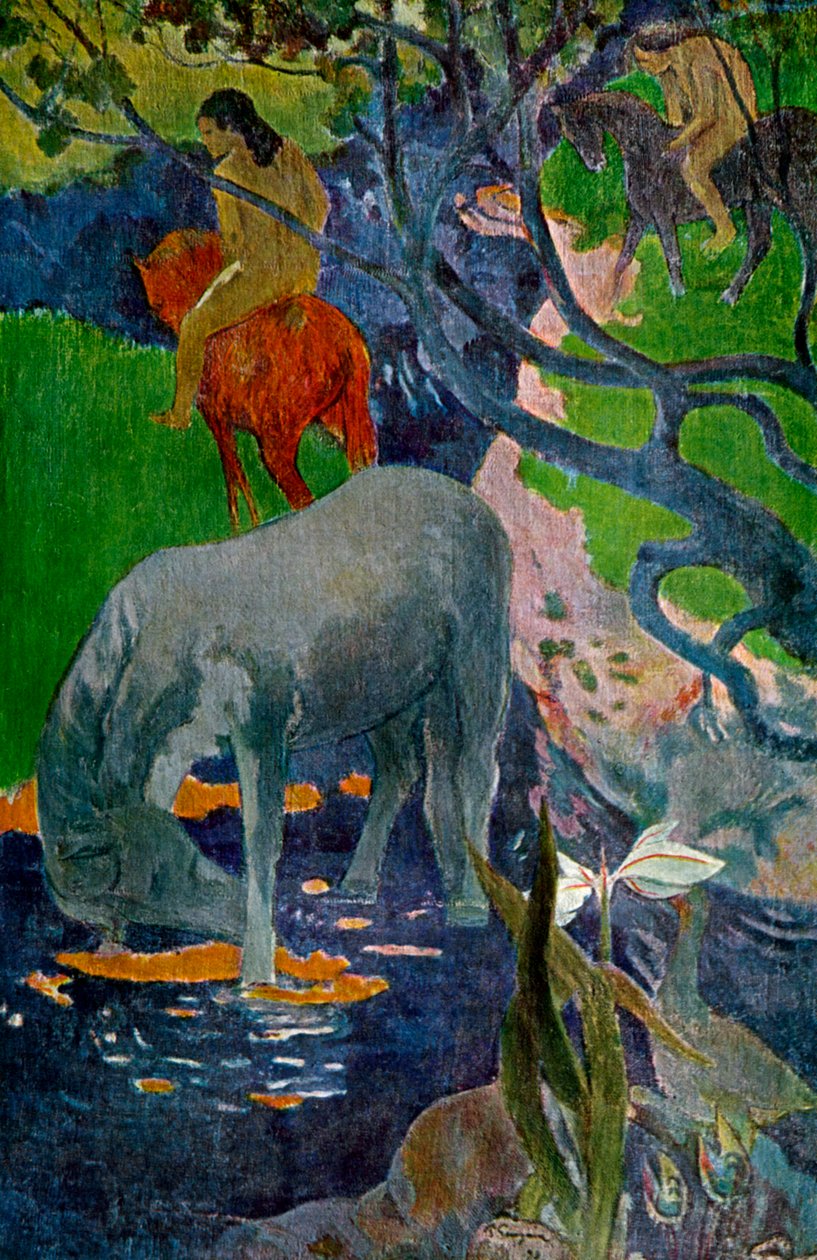 El caballo blanco, 1898 1939 de Paul Gauguin