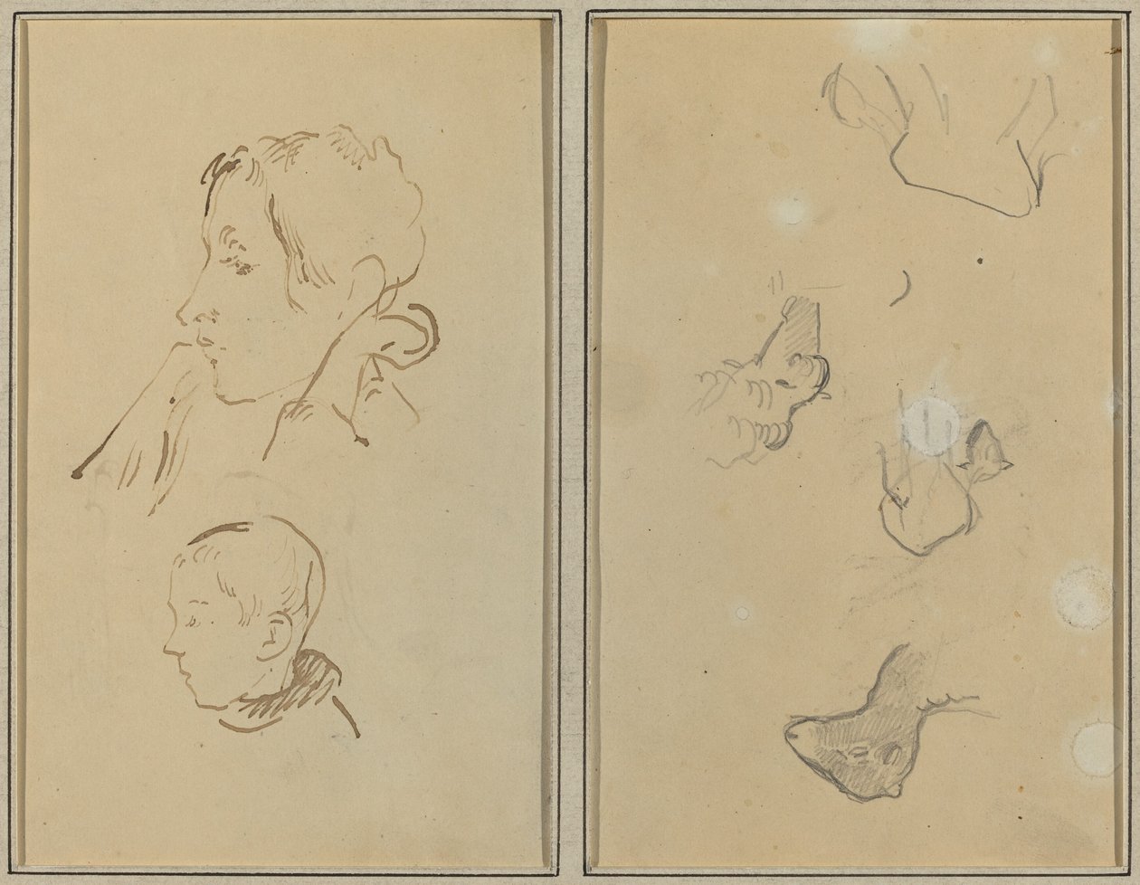 Dos Cabezas; Estudios de Ovejas de Paul Gauguin
