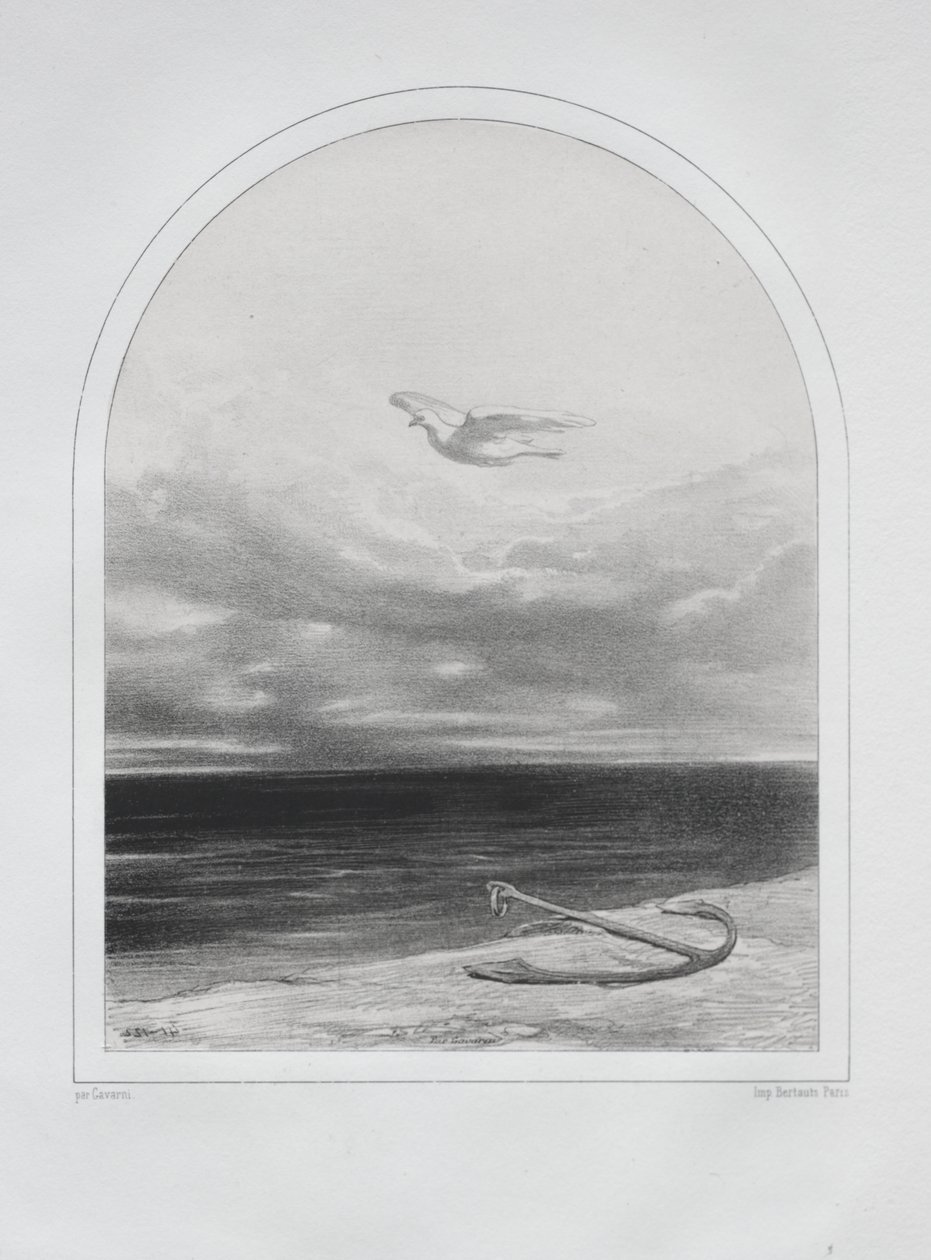 La paloma blanca de Paul Gavarni