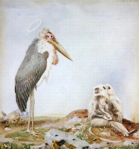 Holy Marabou (acuarela y lápiz sobre papel) de Paul Grabwinkler