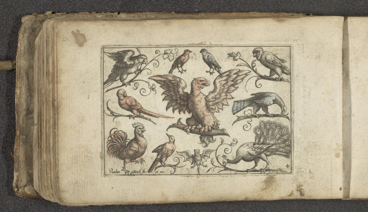 Ave rapaz, otras nueve aves y un murciélago Pájaros (título de la serie) de Paul Göttich